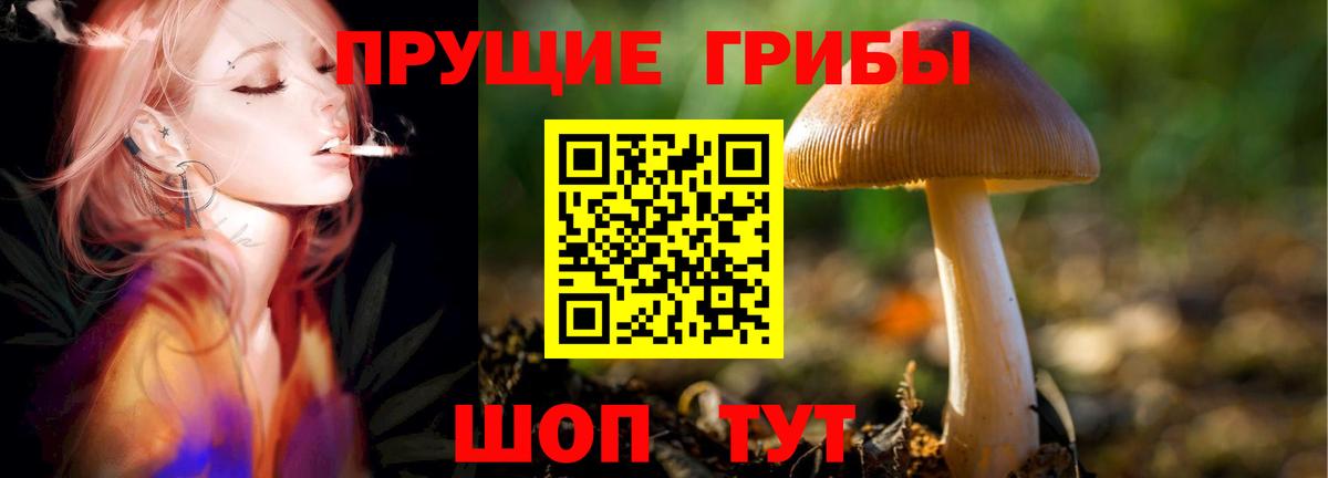 Галлюциногенные грибы MAGIC MUSHROOMS Среднеуральск